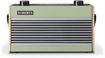 Roberts Radio Rambler BT Grøn - DAB | Bluetooth